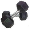 Equipo de Entrenamiento de Fitness Goma de Cobre Dumbbell Set Precio